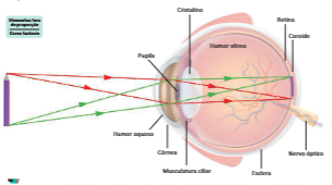 Formação da imagem de um lápis no olho emétrope.