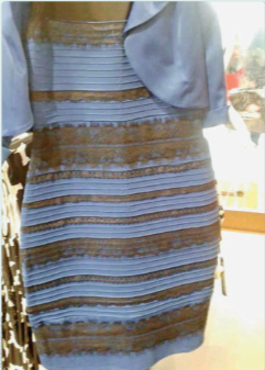 Fotografia do vestido conhecido como TheDress — alguns veem azul e preto, outros dourado e branco.